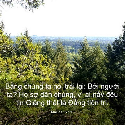 Picture 03 - Mác 11:32 VIE - Bằng chúng ta nói trái lại: Bởi người - Bible Verse Picture