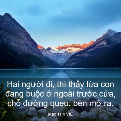 Picture 03 - Mác 11:4 VIE - Hai người đi, thì thấy lừa con đang - Bible Verse Picture