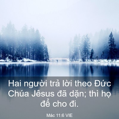 Picture 03 - Mác 11:6 VIE - Hai người trả lời theo Đức Chúa Jêsus - Bible Verse Picture