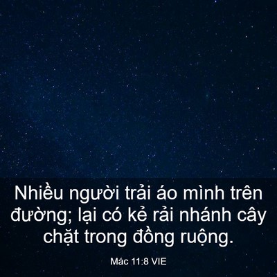 Picture 03 - Mác 11:8 VIE - Nhiều người trải áo mình trên - Bible Verse Picture