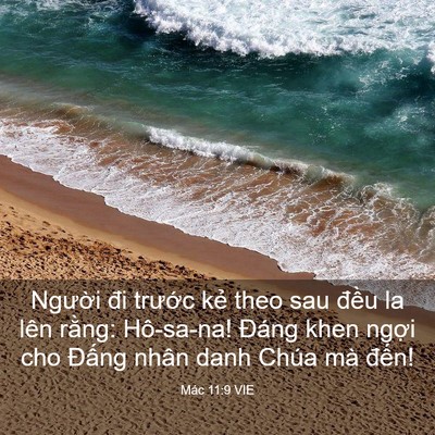 Picture 03 - Mác 11:9 VIE - Người đi trước kẻ theo sau đều la - Bible Verse Picture