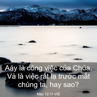 Picture 03 - Mác 12:11 VIE - Aáy là công việc của Chúa, Và là việc - Bible Verse Picture