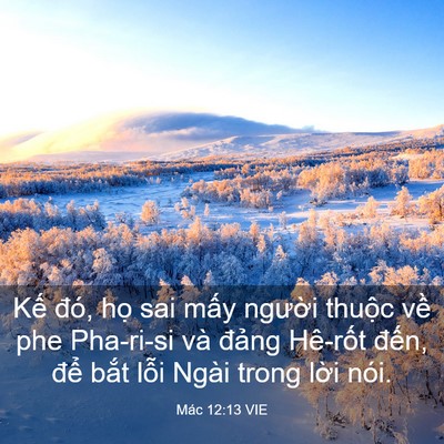 Picture 03 - Mác 12:13 VIE - Kế đó, họ sai mấy người thuộc về - Bible Verse Picture