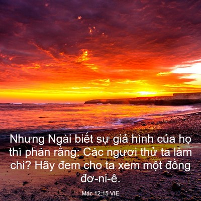 Picture 03 - Mác 12:15 VIE - Nhưng Ngài biết sự giả hình của họ - Bible Verse Picture