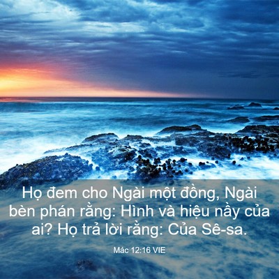 Picture 03 - Mác 12:16 VIE - Họ đem cho Ngài một đồng, Ngài bèn - Bible Verse Picture