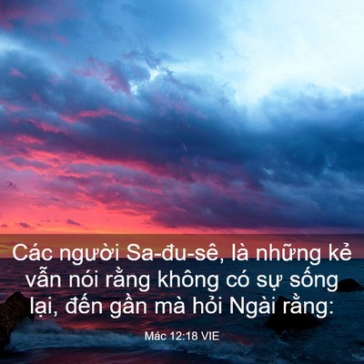 Picture 03 - Mác 12:18 VIE - Các người Sa-đu-sê, là những kẻ vẫn - Bible Verse Picture