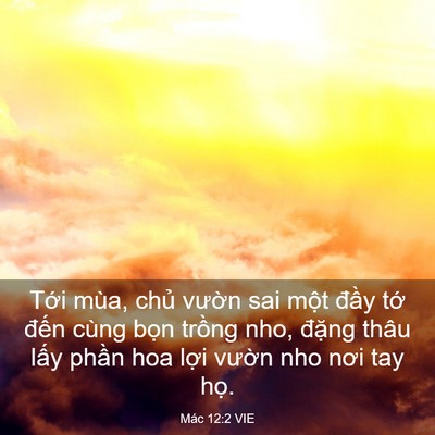 Picture 03 - Mác 12:2 VIE - Tới mùa, chủ vườn sai một đầy tớ - Bible Verse Picture
