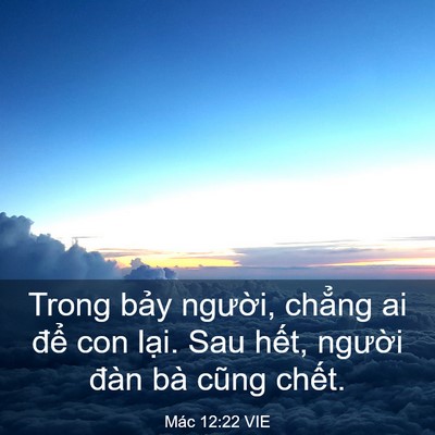 Picture 03 - Mác 12:22 VIE - Trong bảy người, chẳng ai để con lại. - Bible Verse Picture