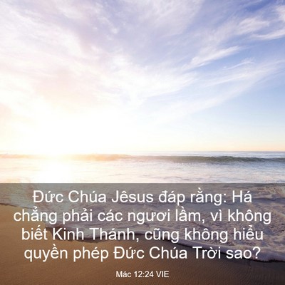 Picture 03 - Mác 12:24 VIE - Đức Chúa Jêsus đáp rằng: Há chẳng - Bible Verse Picture