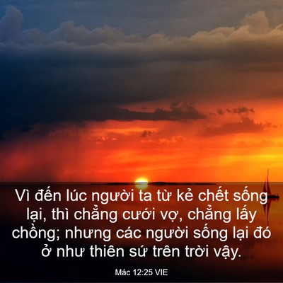 Picture 03 - Mác 12:25 VIE - Vì đến lúc người ta từ kẻ chết - Bible Verse Picture