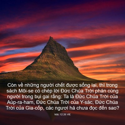 Picture 03 - Mác 12:26 VIE - Còn về những người chết được sống - Bible Verse Picture