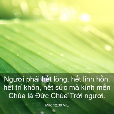 Picture 03 - Mác 12:30 VIE - Ngươi phải hết lòng, hết linh hồn, - Bible Verse Picture