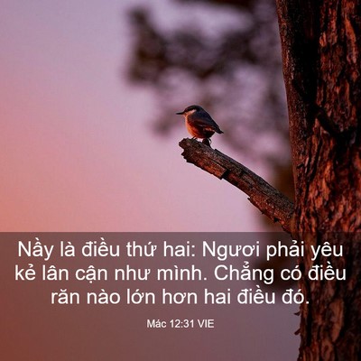 Picture 03 - Mác 12:31 VIE - Nầy là điều thứ hai: Ngươi phải yêu - Bible Verse Picture