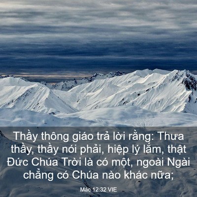 Picture 03 - Mác 12:32 VIE - Thầy thông giáo trả lời rằng: Thưa - Bible Verse Picture