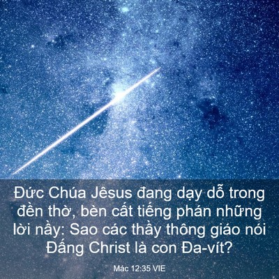 Picture 03 - Mác 12:35 VIE - Đức Chúa Jêsus đang dạy dỗ trong đền - Bible Verse Picture