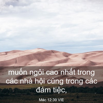 Picture 03 - Mác 12:39 VIE - muốn ngôi cao nhất trong các nhà hội - Bible Verse Picture