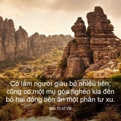 Picture 03 - Mác 12:42 VIE - Có lắm người giàu bỏ nhiều tiền; - Bible Verse Picture