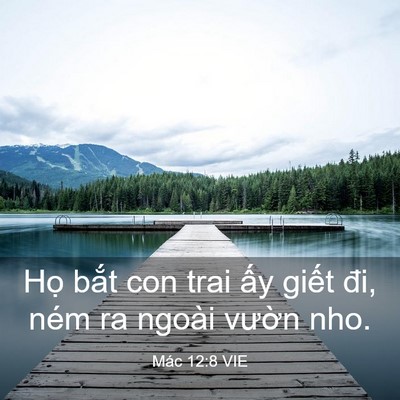 Picture 03 - Mác 12:8 VIE - Họ bắt con trai ấy giết đi, ném ra - Bible Verse Picture