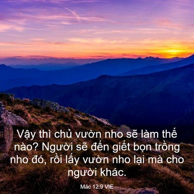 Picture 03 - Mác 12:9 VIE - Vậy thì chủ vườn nho sẽ làm thế - Bible Verse Picture