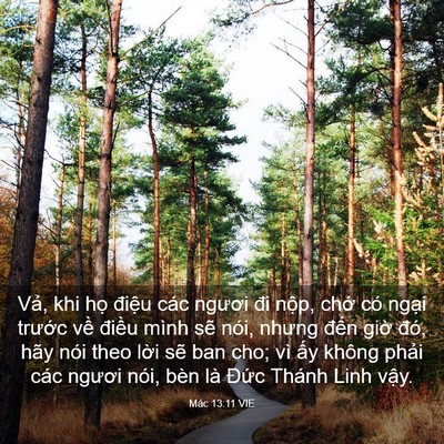 Picture 03 - Mác 13:11 VIE - Vả, khi họ điệu các ngươi đi nộp, - Bible Verse Picture