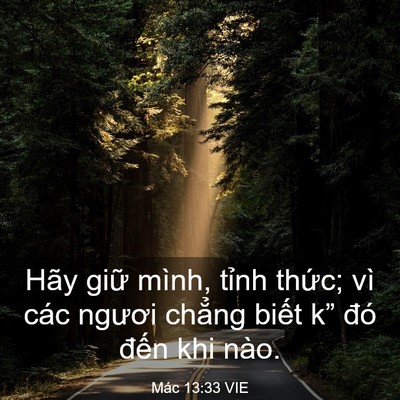 Picture 03 - Mác 13:33 VIE - Hãy giữ mình, tỉnh thức; vì các ngươi - Bible Verse Picture