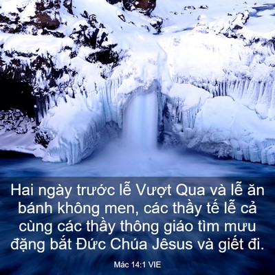 Picture 03 - Mác 14:1 VIE - Hai ngày trước lễ Vượt Qua và lễ ăn - Bible Verse Picture