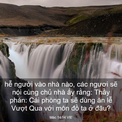 Picture 03 - Mác 14:14 VIE - hễ người vào nhà nào, các ngươi sẽ - Bible Verse Picture