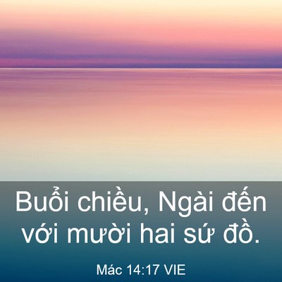 Picture 03 - Mác 14:17 VIE - Buổi chiều, Ngài đến với mười hai - Bible Verse Picture