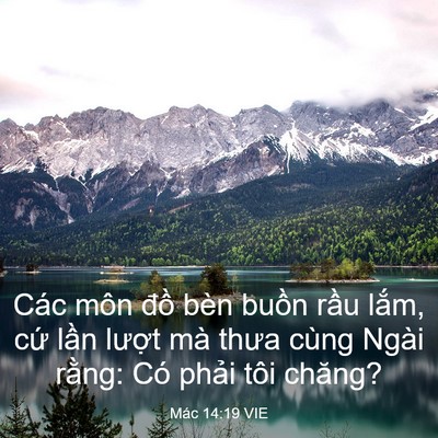 Picture 03 - Mác 14:19 VIE - Các môn đồ bèn buồn rầu lắm, cứ - Bible Verse Picture