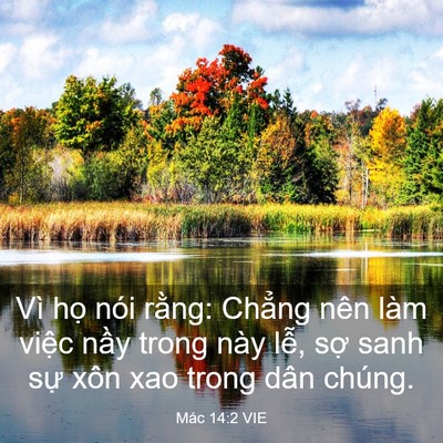 Picture 03 - Mác 14:2 VIE - Vì họ nói rằng: Chẳng nên làm việc - Bible Verse Picture