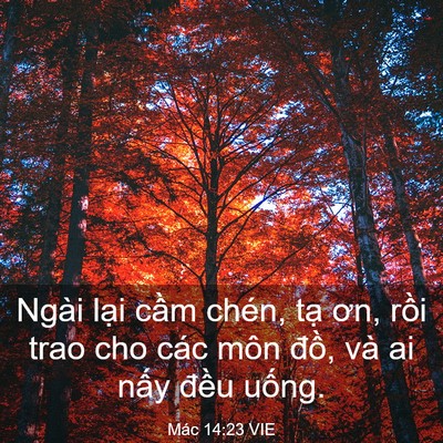 Picture 03 - Mác 14:23 VIE - Ngài lại cầm chén, tạ ơn, rồi trao cho - Bible Verse Picture