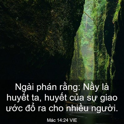 Picture 03 - Mác 14:24 VIE - Ngài phán rằng: Nầy là huyết ta, huyết - Bible Verse Picture