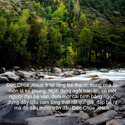 Picture 03 - Mác 14:3 VIE - Đức Chúa Jêsus ở tại làng Bê-tha-ni, - Bible Verse Picture