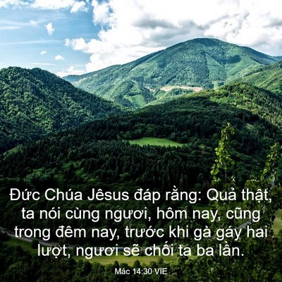 Picture 03 - Mác 14:30 VIE - Đức Chúa Jêsus đáp rằng: Quả thật, - Bible Verse Picture