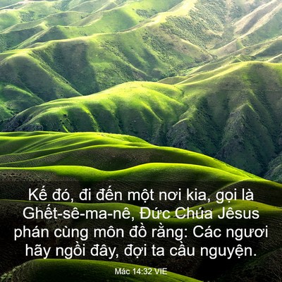 Picture 03 - Mác 14:32 VIE - Kế đó, đi đến một nơi kia, gọi là - Bible Verse Picture