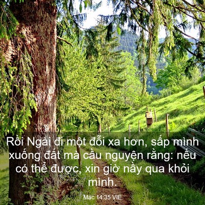 Picture 03 - Mác 14:35 VIE - Rồi Ngài đi một đỗi xa hơn, sấp mình - Bible Verse Picture