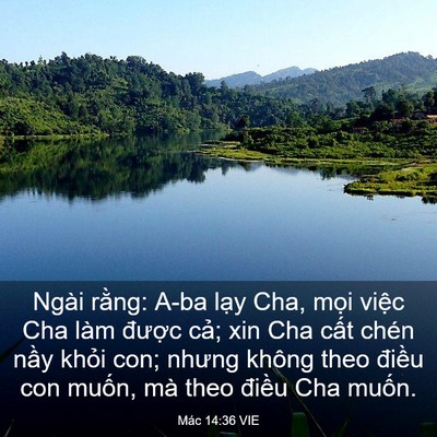 Picture 03 - Mác 14:36 VIE - Ngài rằng: A-ba lạy Cha, mọi việc Cha - Bible Verse Picture