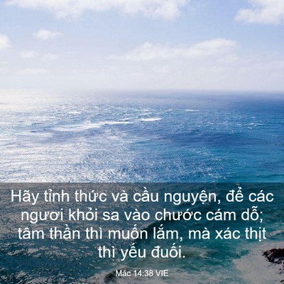 Picture 03 - Mác 14:38 VIE - Hãy tỉnh thức và cầu nguyện, để các - Bible Verse Picture