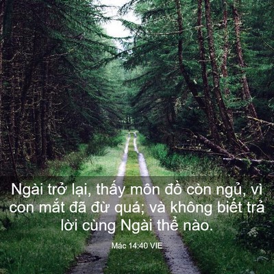 Picture 03 - Mác 14:40 VIE - Ngài trở lại, thấy môn đồ còn ngủ, - Bible Verse Picture