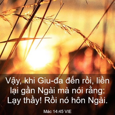 Picture 03 - Mác 14:45 VIE - Vậy, khi Giu-đa đến rồi, liền lại - Bible Verse Picture