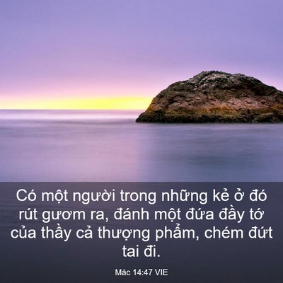 Picture 03 - Mác 14:47 VIE - Có một người trong những kẻ ở đó - Bible Verse Picture