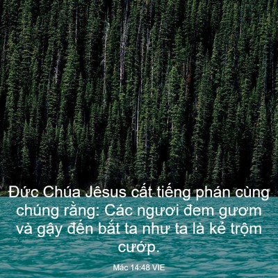 Picture 03 - Mác 14:48 VIE - Đức Chúa Jêsus cất tiếng phán cùng - Bible Verse Picture