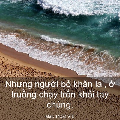 Picture 03 - Mác 14:52 VIE - Nhưng người bỏ khăn lại, ở truồng - Bible Verse Picture