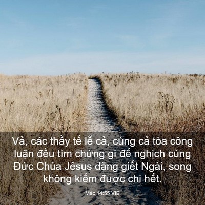 Picture 03 - Mác 14:55 VIE - Vả, các thầy tế lễ cả, cùng cả tòa - Bible Verse Picture
