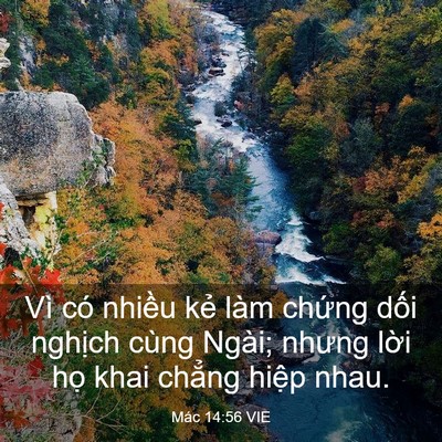 Picture 03 - Mác 14:56 VIE - Vì có nhiều kẻ làm chứng dối nghịch - Bible Verse Picture