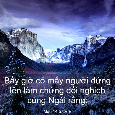Picture 03 - Mác 14:57 VIE - Bấy giờ có mấy người đứng lên làm - Bible Verse Picture