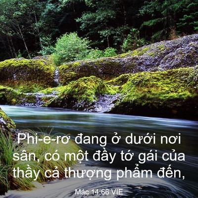 Picture 03 - Mác 14:66 VIE - Phi-e-rơ đang ở dưới nơi sân, có một - Bible Verse Picture