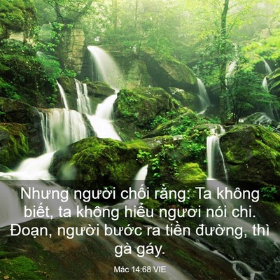 Picture 03 - Mác 14:68 VIE - Nhưng người chối rằng: Ta không biết, - Bible Verse Picture