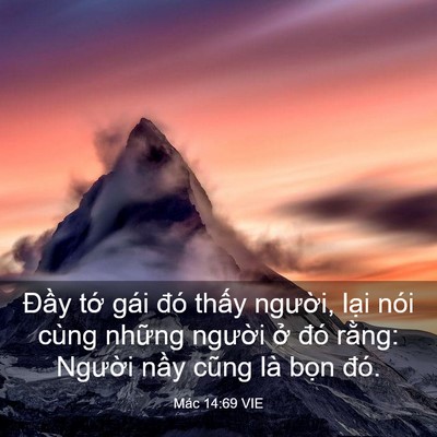 Picture 03 - Mác 14:69 VIE - Đầy tớ gái đó thấy người, lại nói - Bible Verse Picture