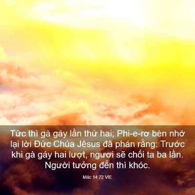 Picture 03 - Mác 14:72 VIE - Tức thì gà gáy lần thứ hai; Phi-e-rơ - Bible Verse Picture